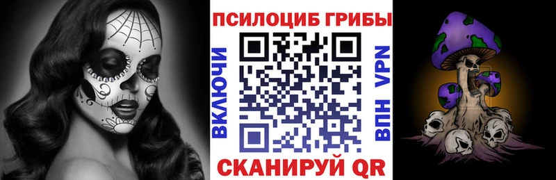 Псилоцибиновые грибы Psilocybine cubensis  Петрозаводск 