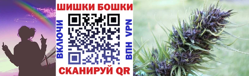 Шишки марихуана марихуана  Петрозаводск 